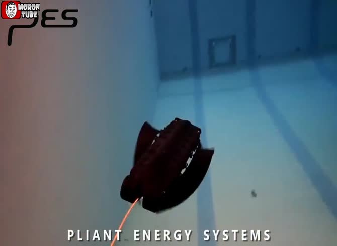 Video :Inspired by the animal realm, Velox is a quite frightening robot
